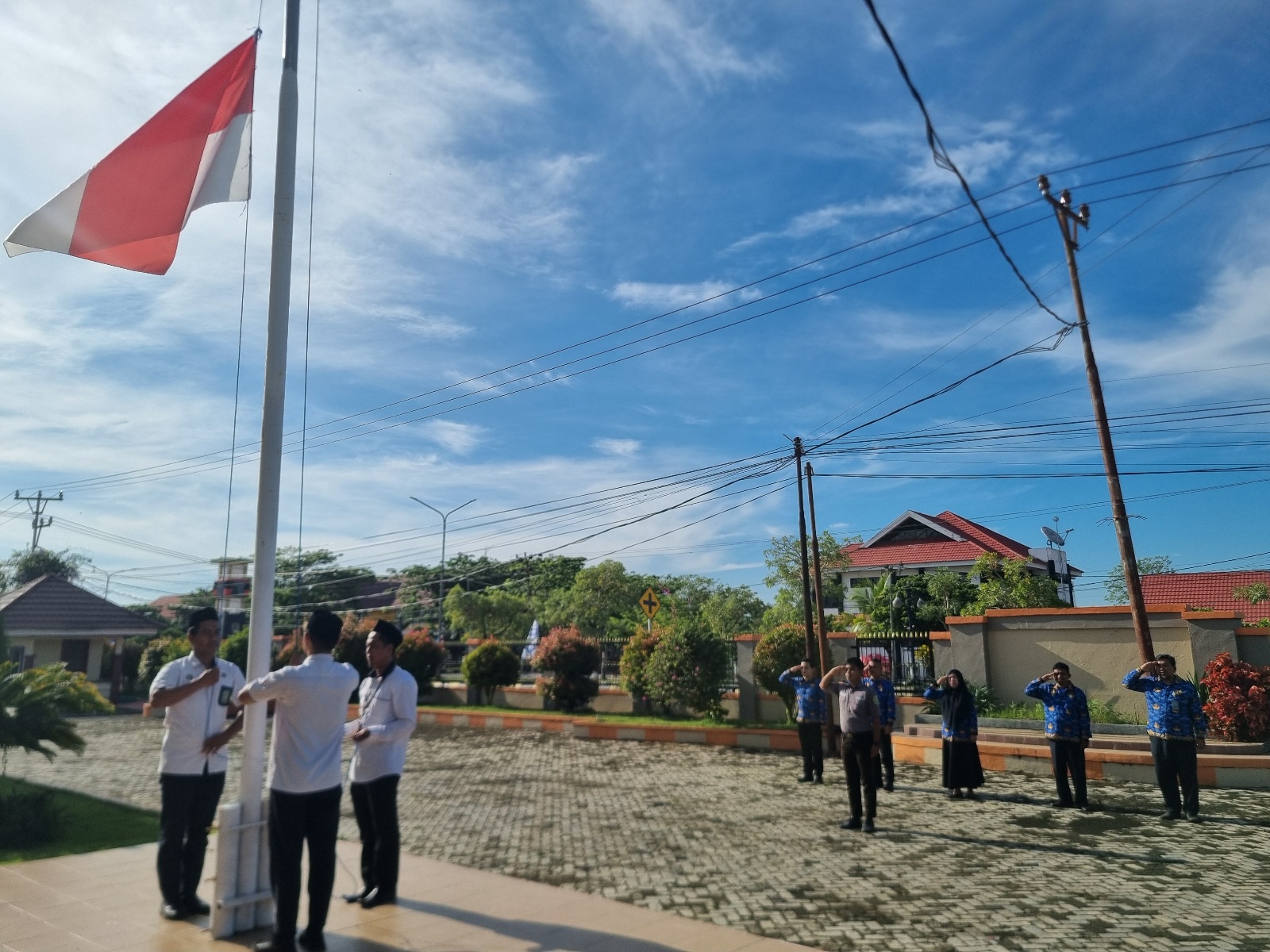 2025 Habanas 177 Buol