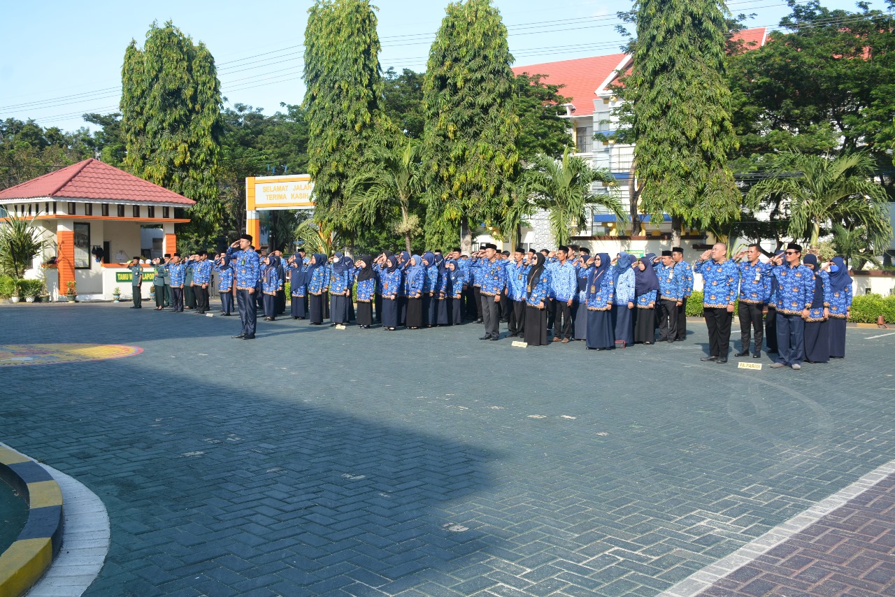 c0df555c 74cf 4929 8086 d989440b30e5 1