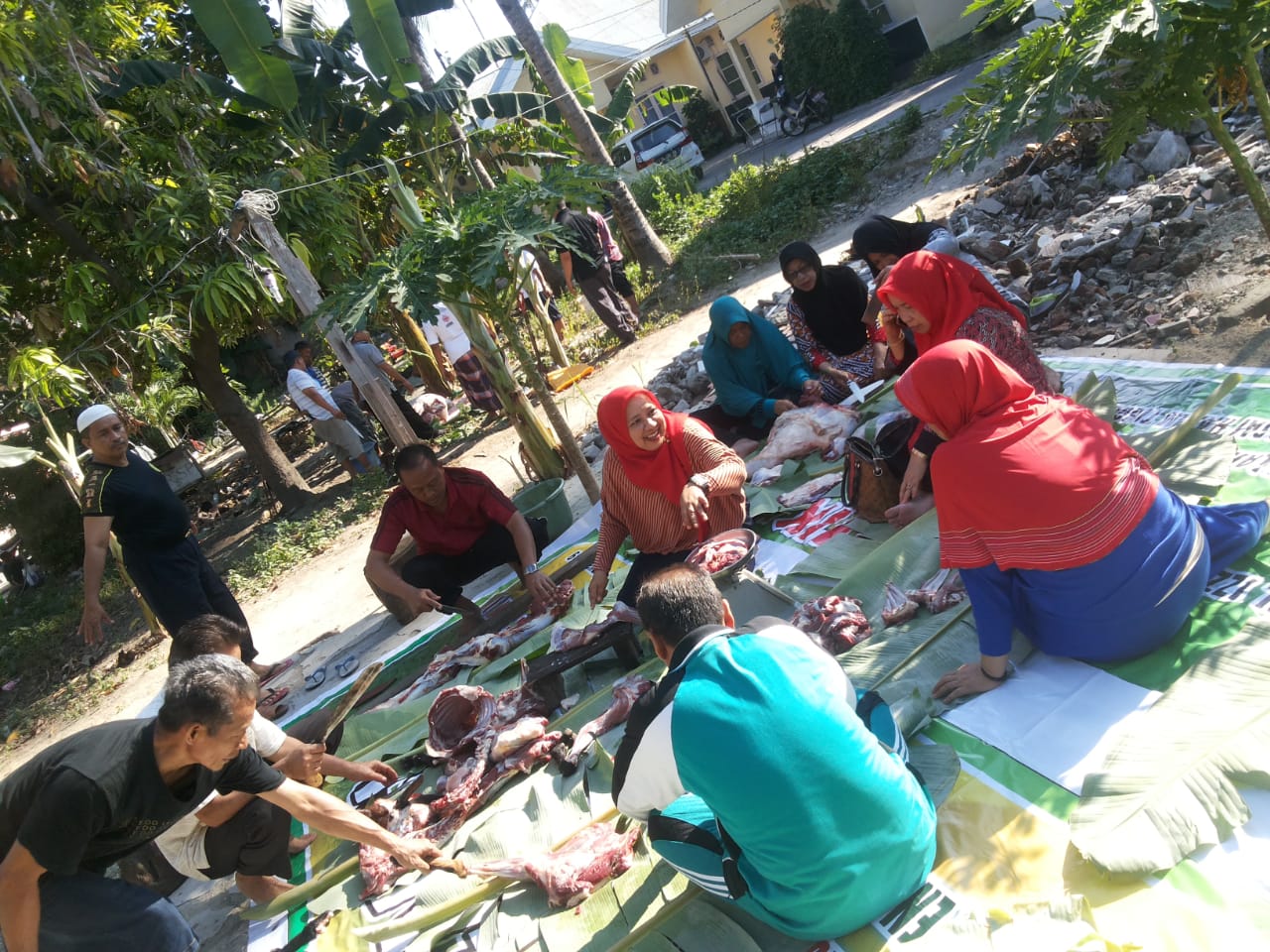 e3b91aac 7d72 4de3 882d 3ae11d5e4525